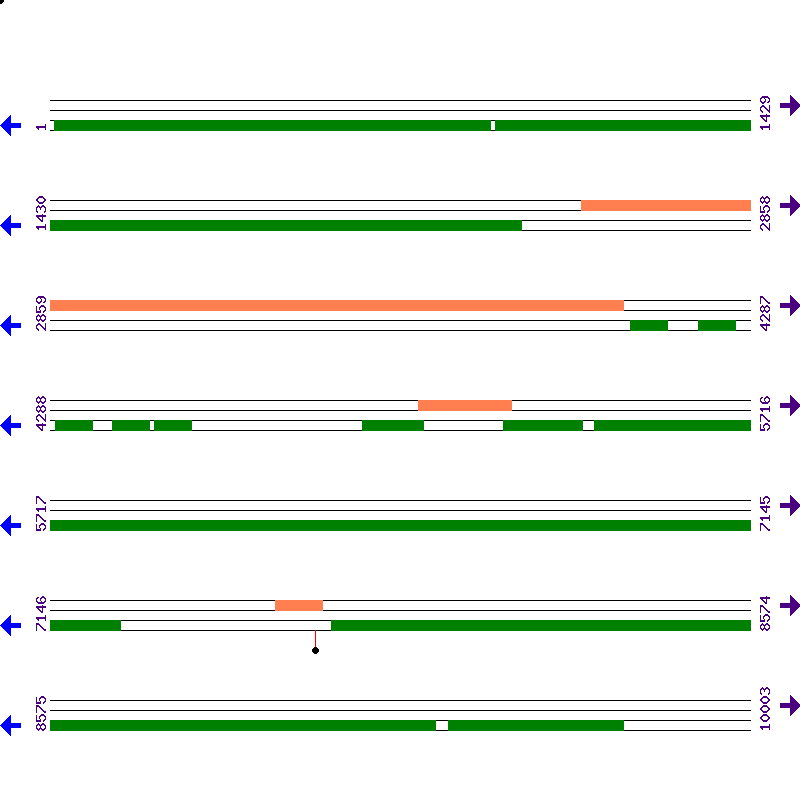 Genome View