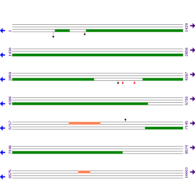 Genome View