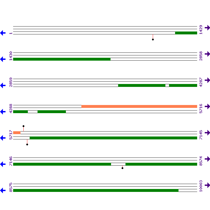 Genome View