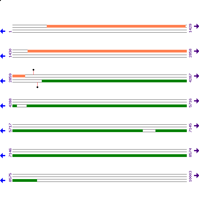 Genome View