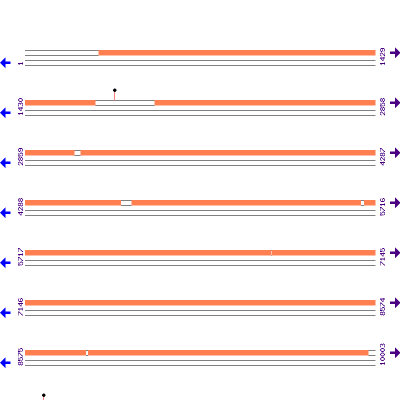 Genome View