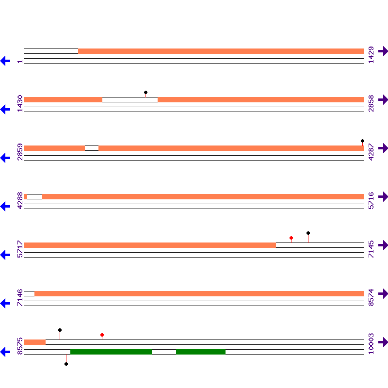 Genome View