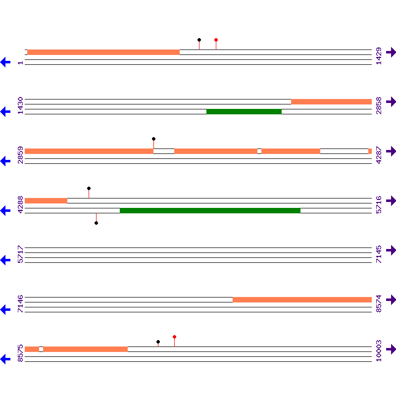 Genome View