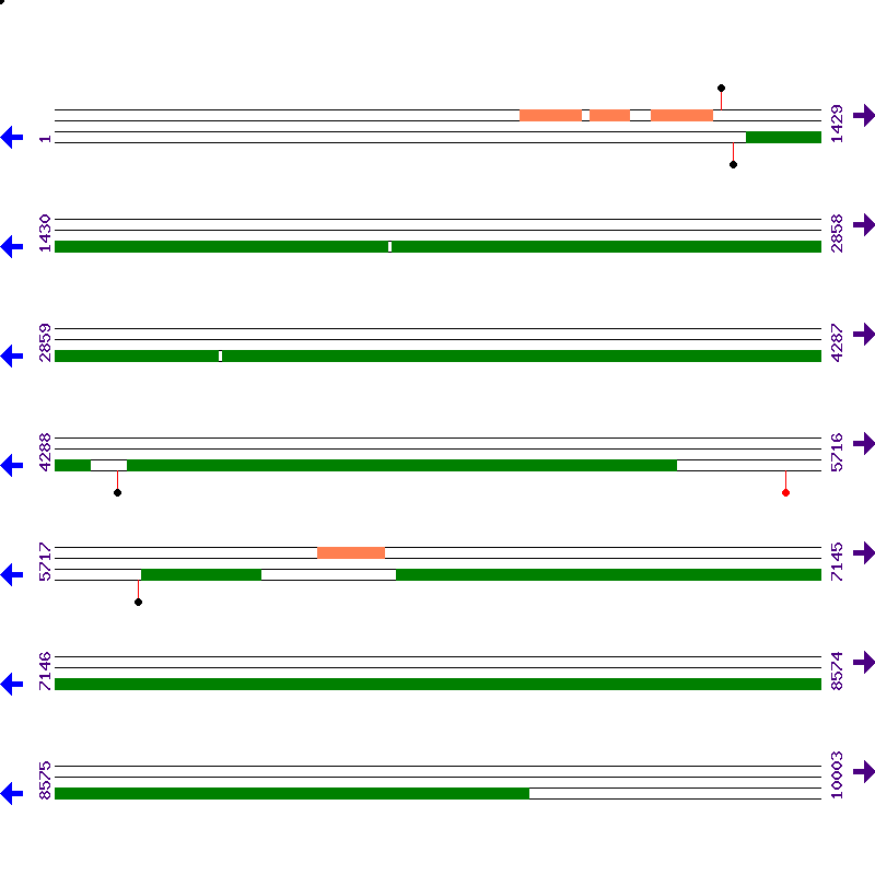 Genome View