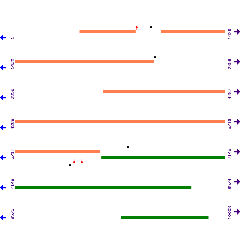 Genome View