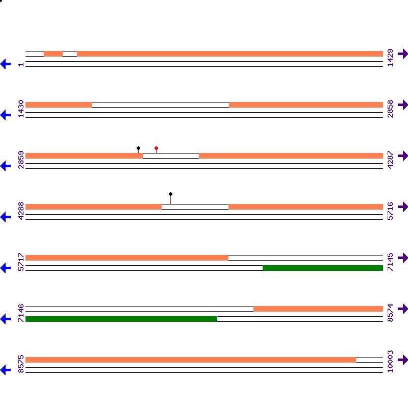 Genome View