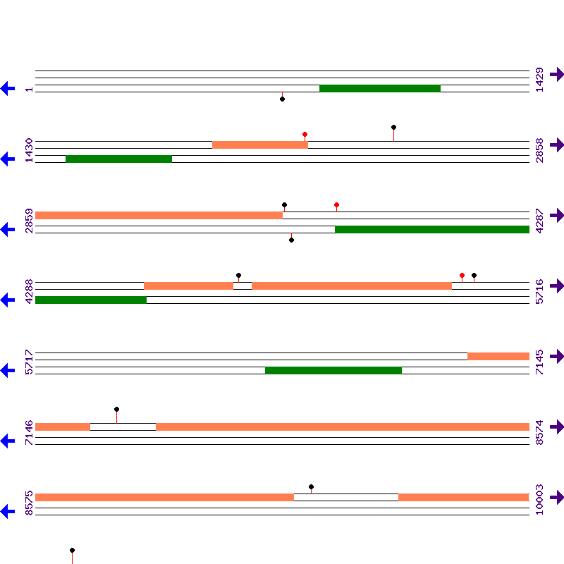 Genome View