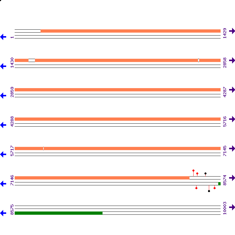 Genome View