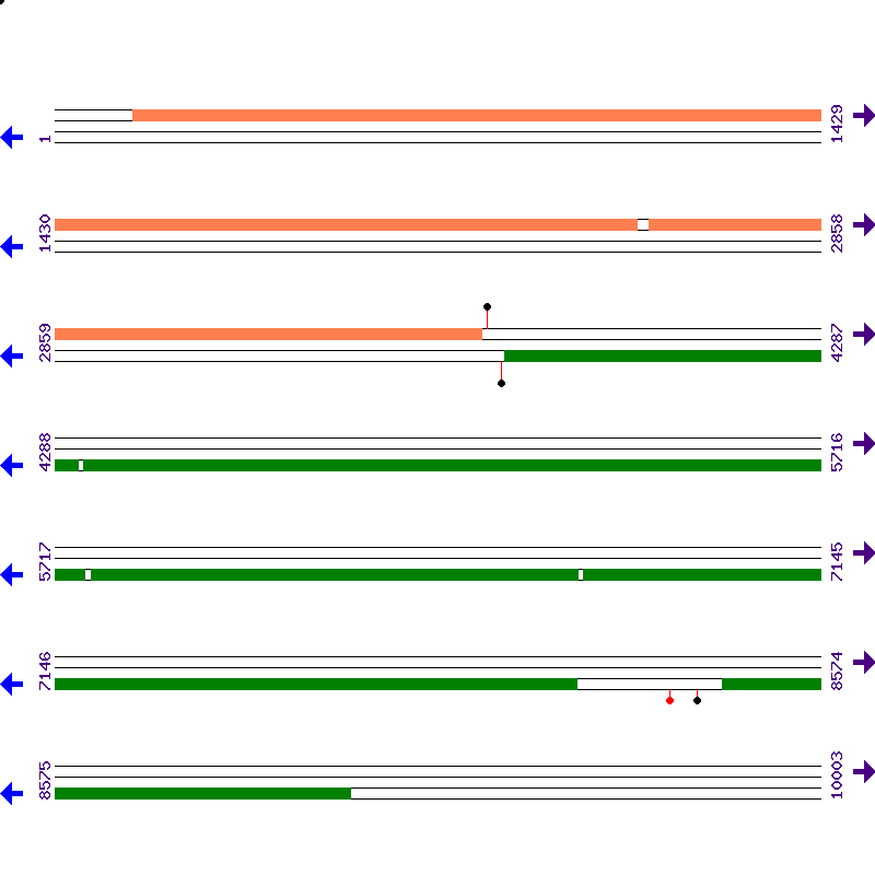 Genome View