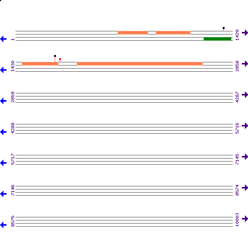 Genome View