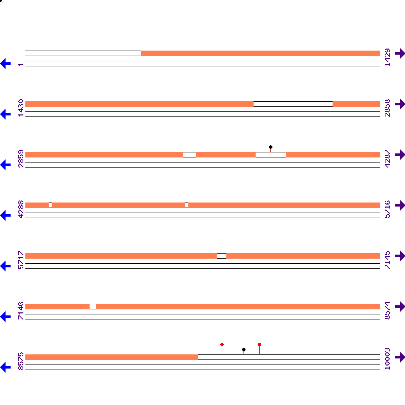Genome View