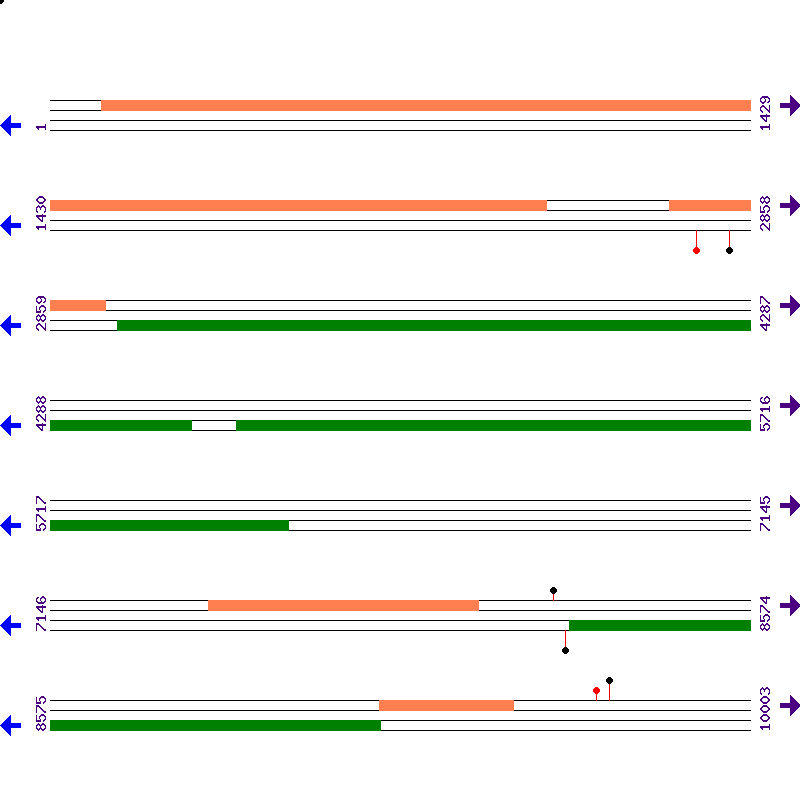 Genome View