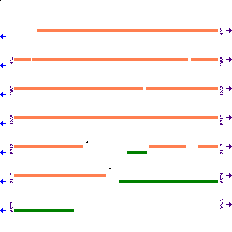Genome View