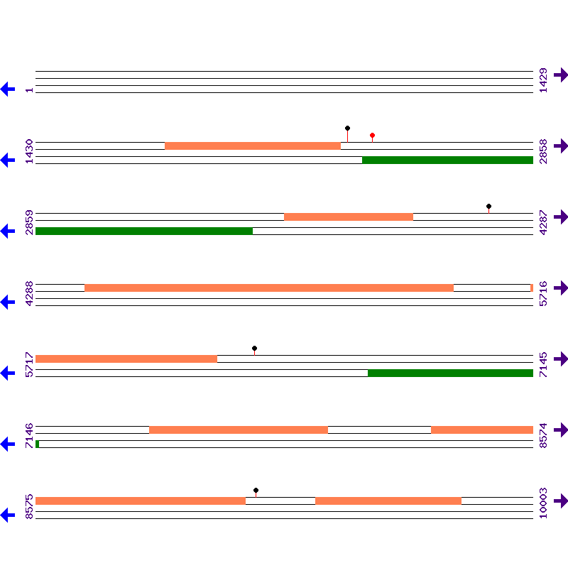 Genome View