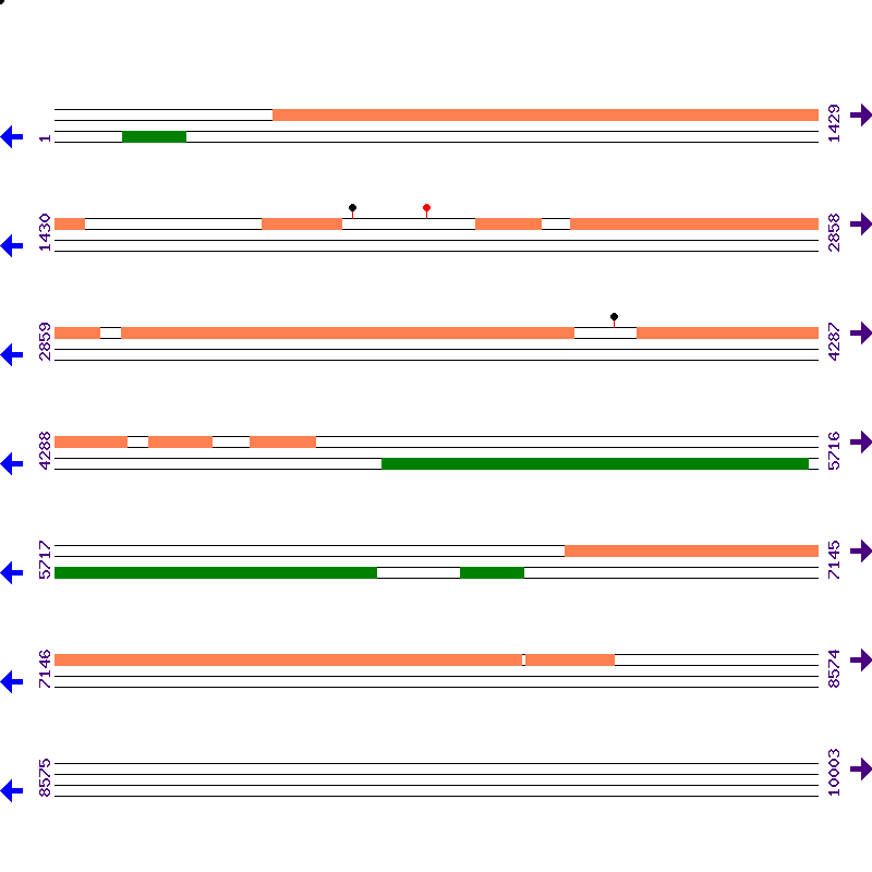 Genome View