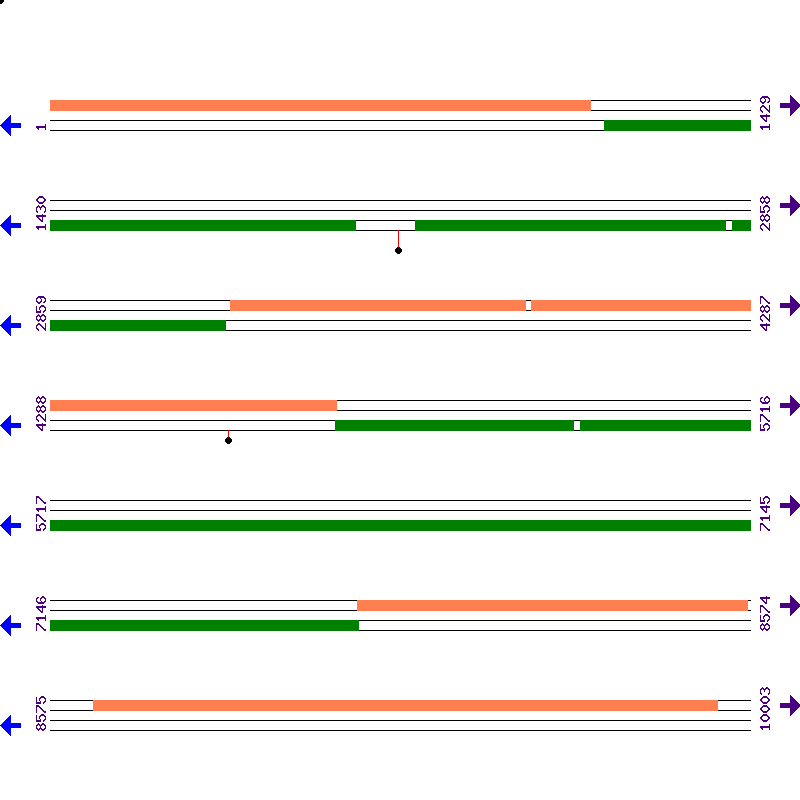 Genome View