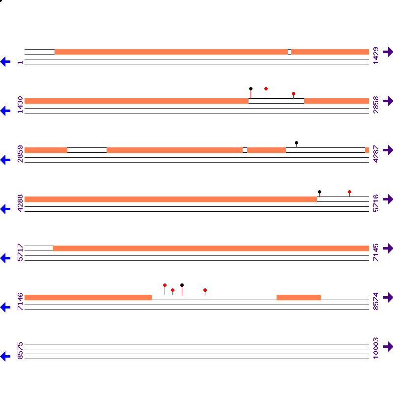 Genome View