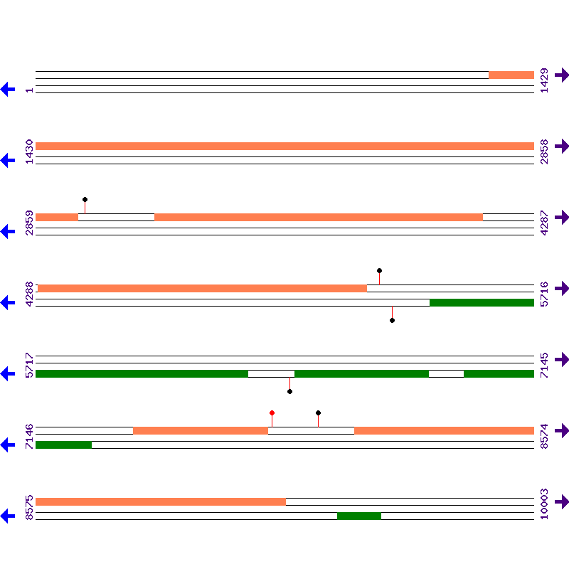 Genome View