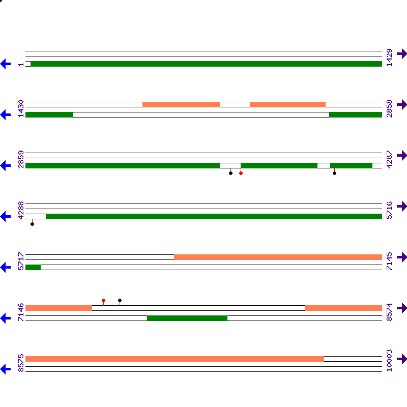 Genome View