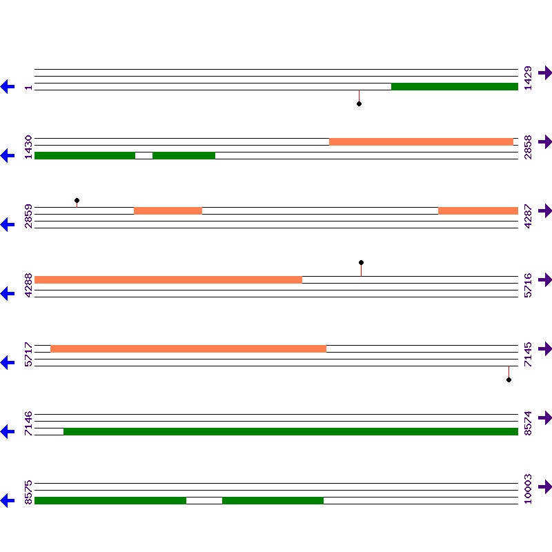 Genome View