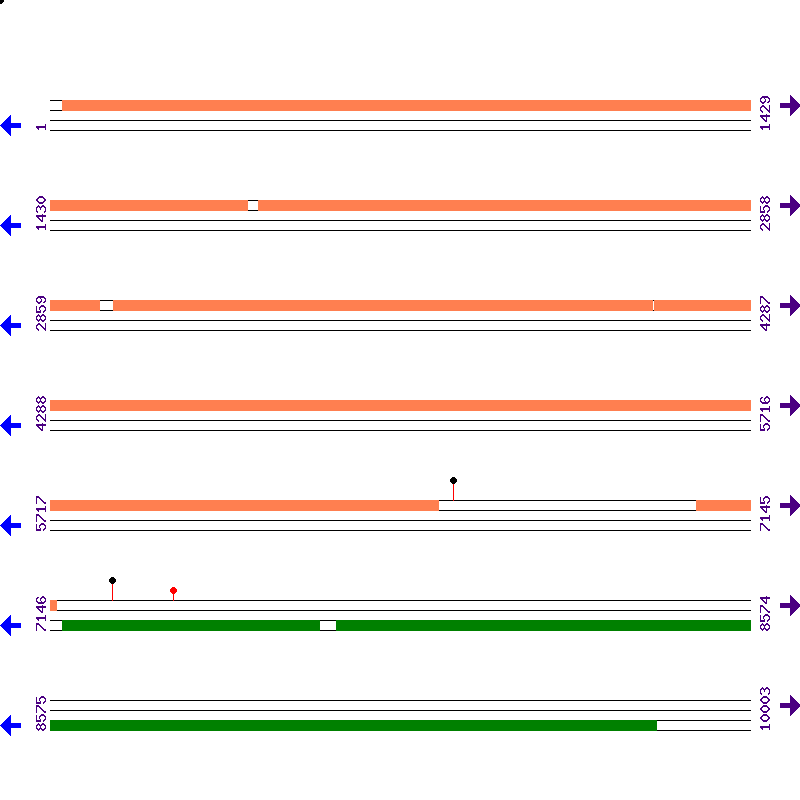 Genome View