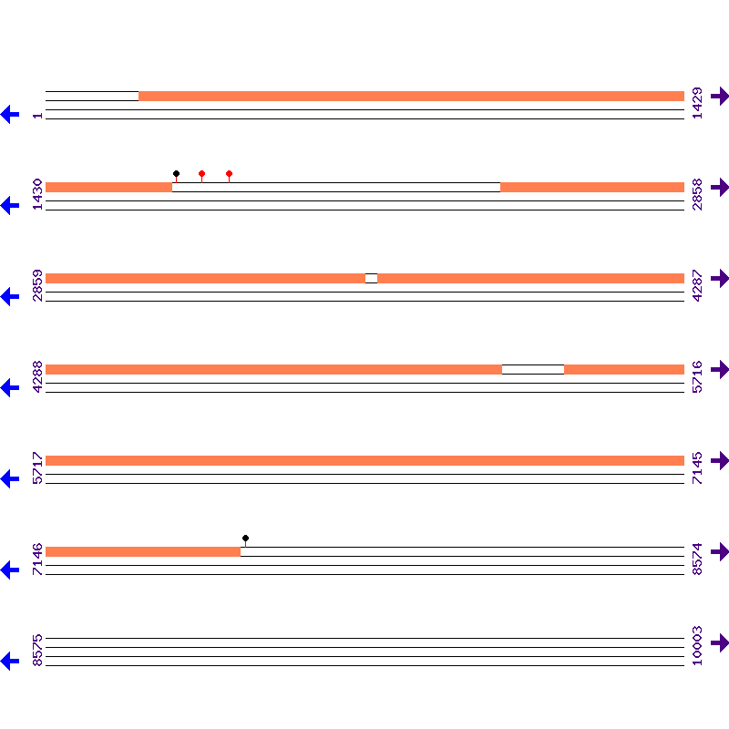 Genome View