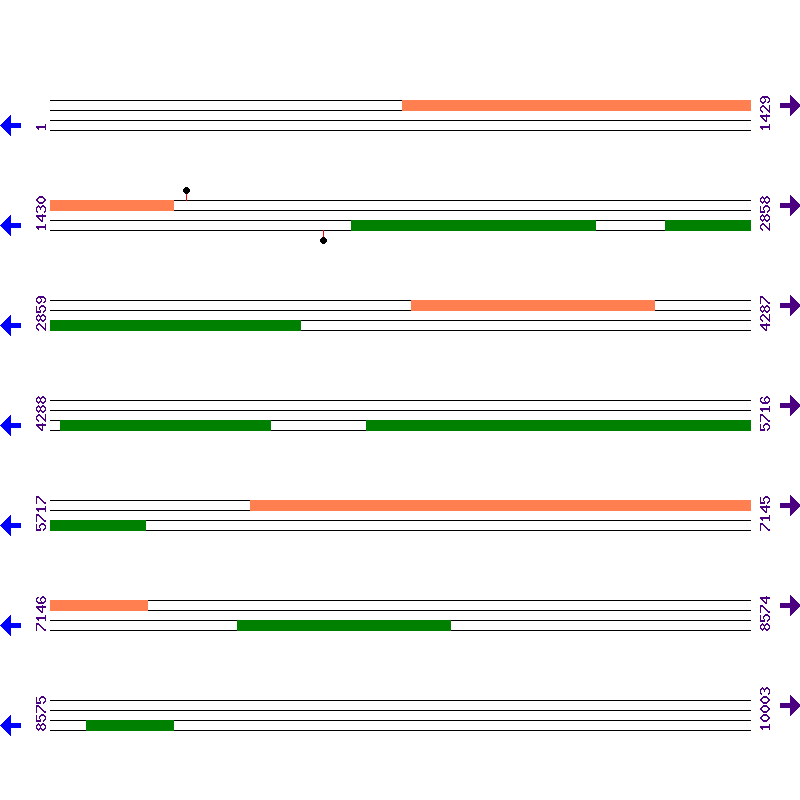 Genome View