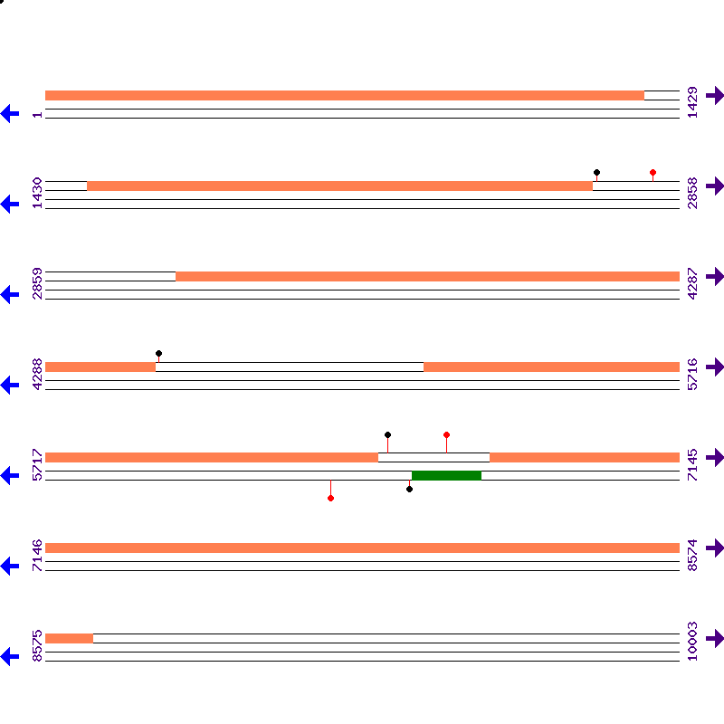 Genome View
