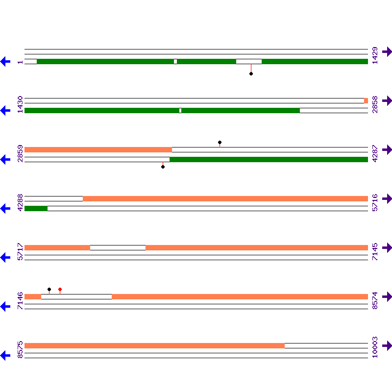 Genome View