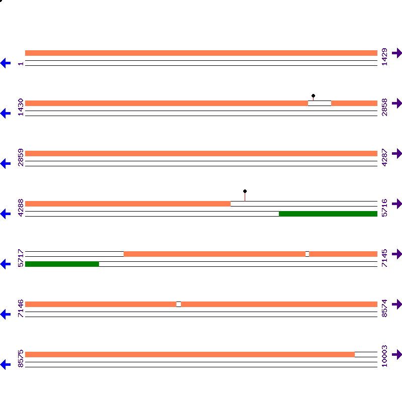 Genome View