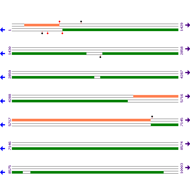 Genome View