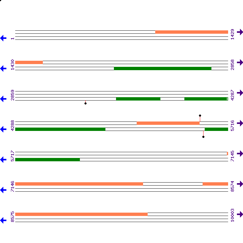 Genome View