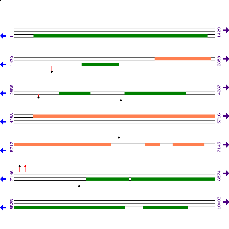 Genome View