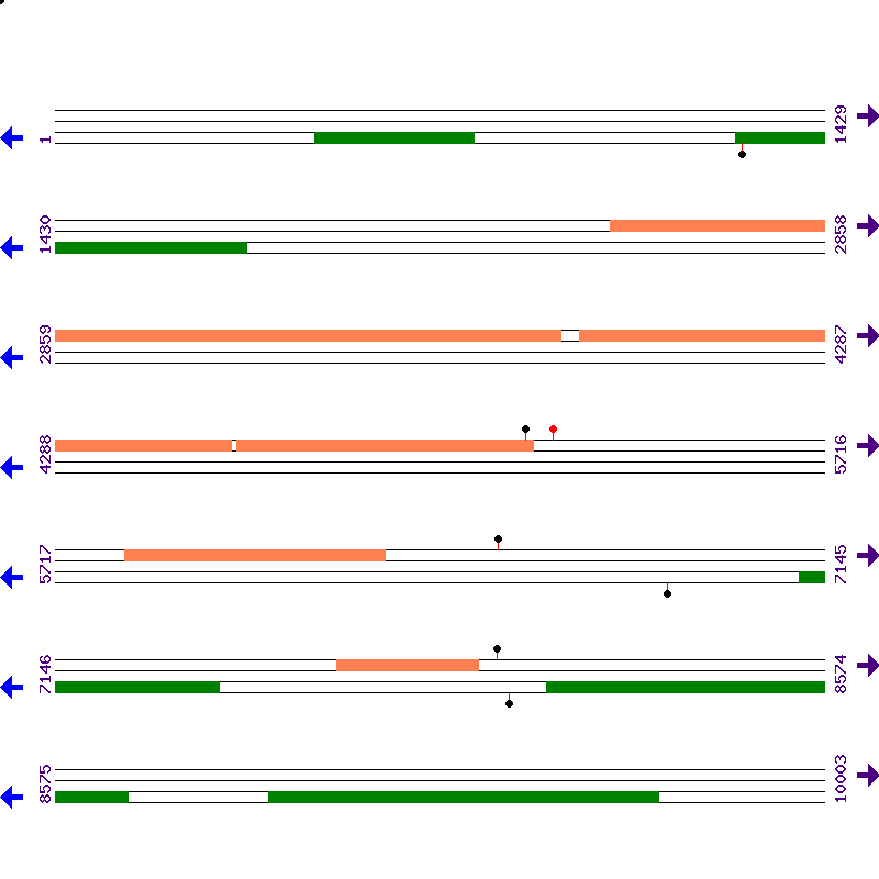 Genome View