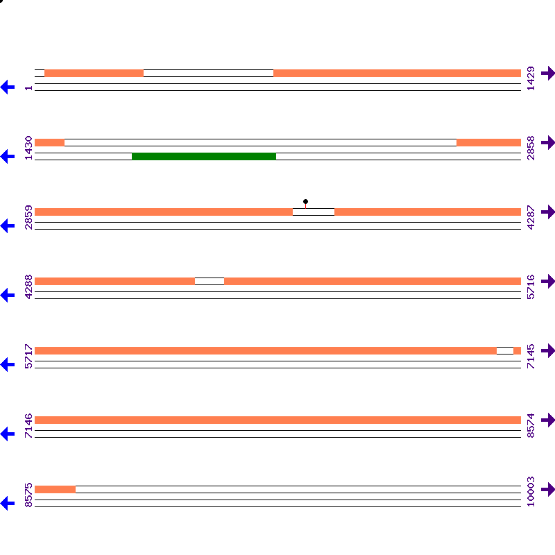 Genome View