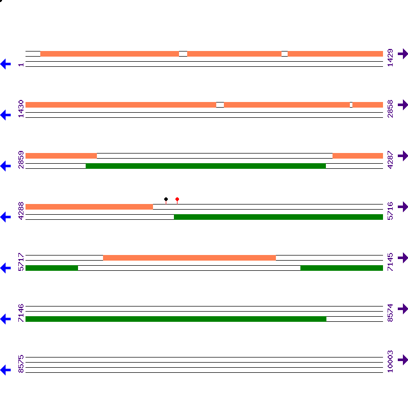 Genome View