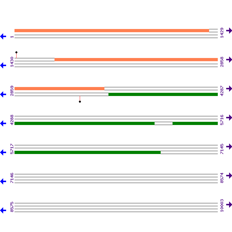 Genome View