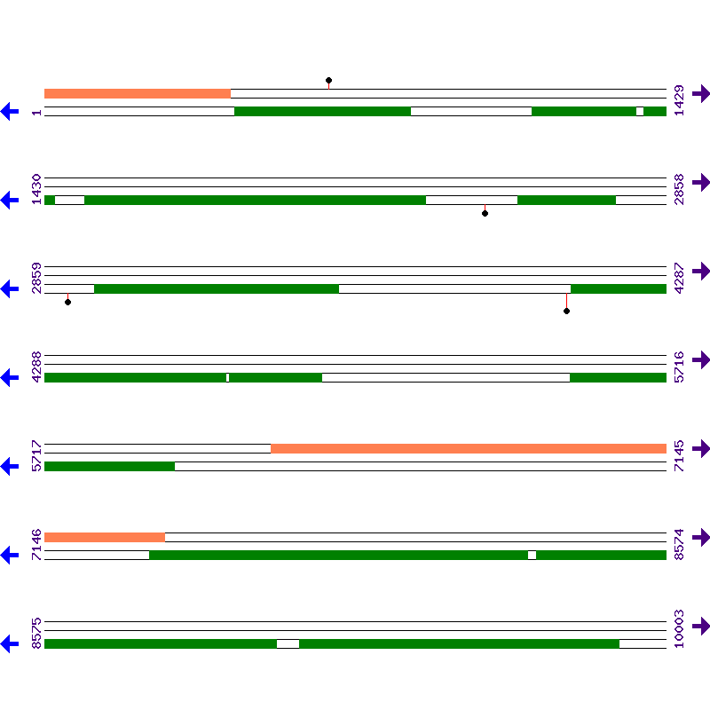 Genome View
