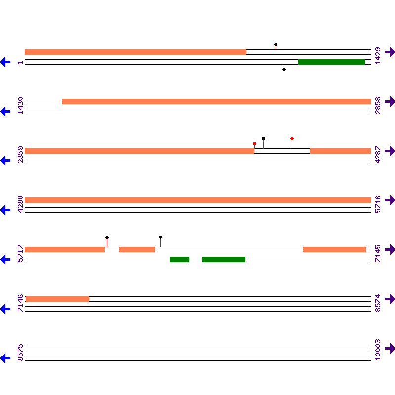 Genome View