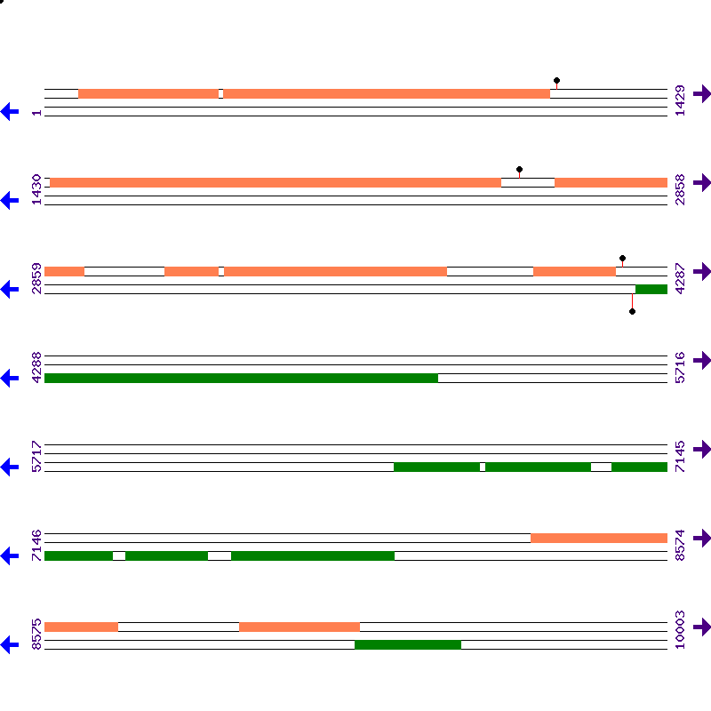 Genome View