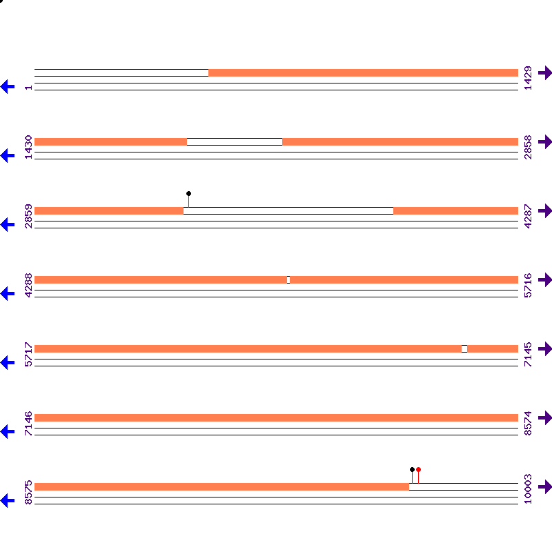 Genome View