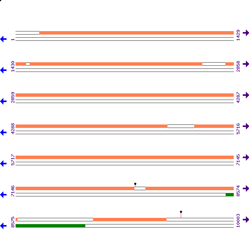Genome View