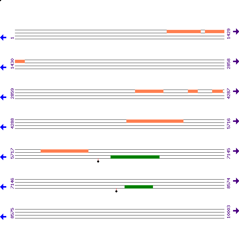 Genome View