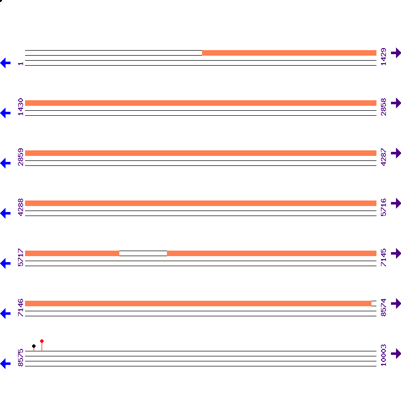 Genome View