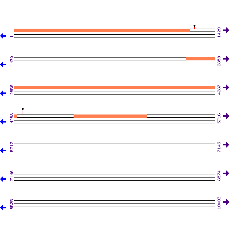 Genome View