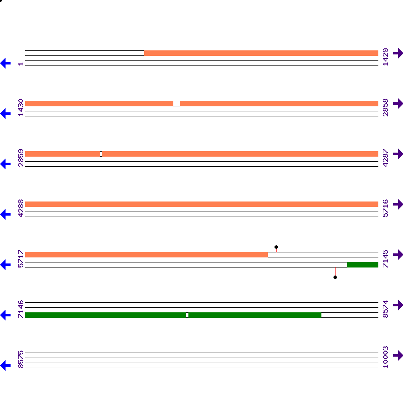 Genome View
