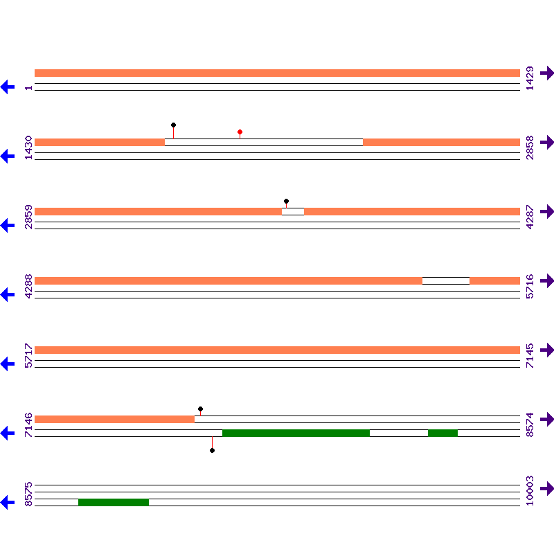 Genome View