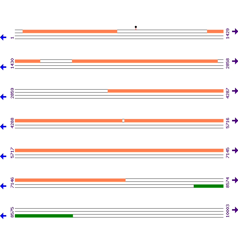 Genome View