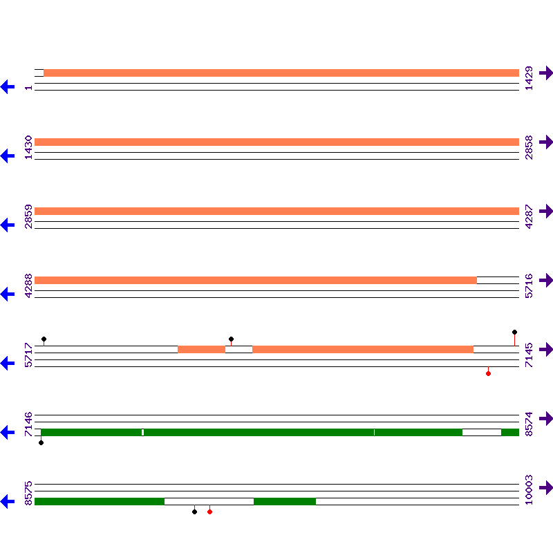 Genome View