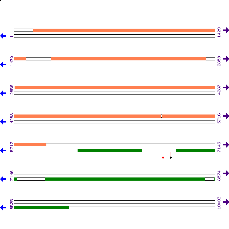 Genome View